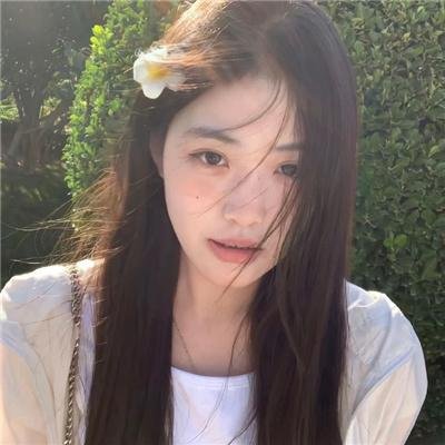 宝岛海报