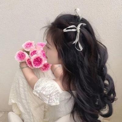 绵羊侦探团海报